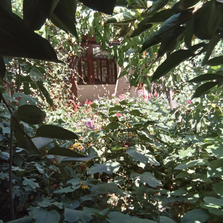 Lovely Home For You Ош Екстериор снимка