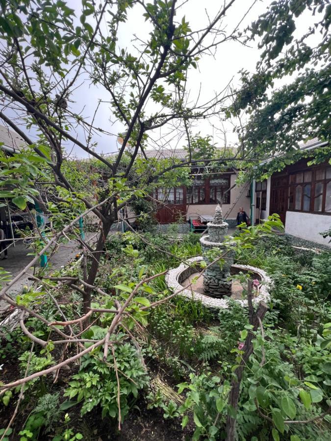 Lovely Home For You Ош Екстериор снимка