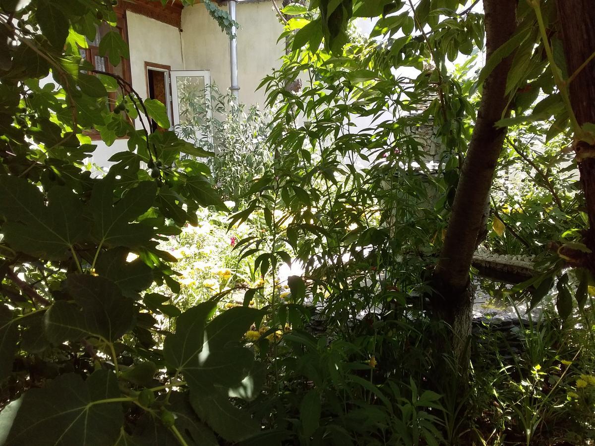 Lovely Home For You Ош Екстериор снимка